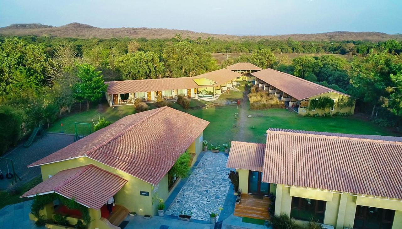 Asiatic Lion Lodge Sasan Gir Buitenkant foto