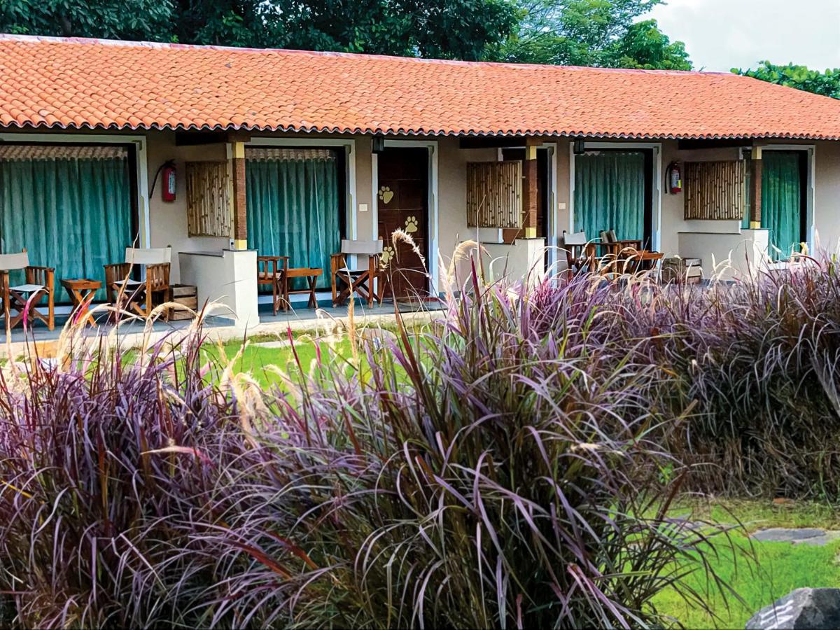 Asiatic Lion Lodge Sasan Gir Buitenkant foto