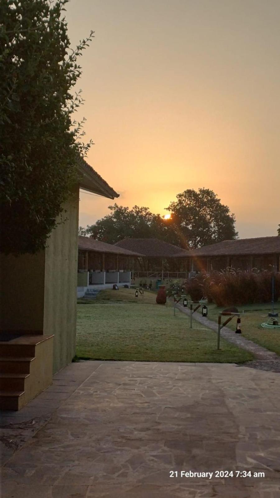 Asiatic Lion Lodge Sasan Gir Buitenkant foto