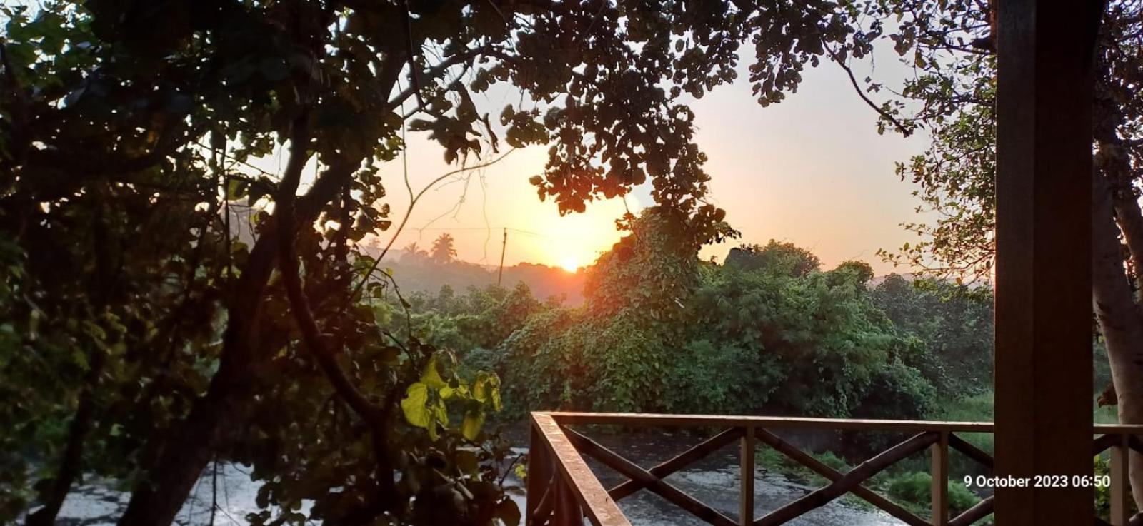 Asiatic Lion Lodge Sasan Gir Buitenkant foto